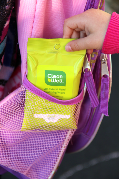 Cleanwell Sanitizing Wipes