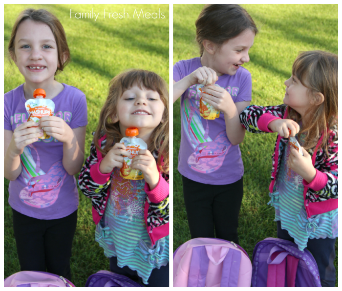 Plum Kids Mashups - Family Fresh Meals