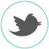 Follow Us on Twitter