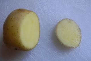 small potato on a cutting board with top cut off