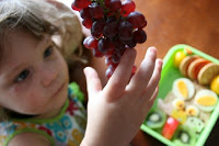 child picking at champagne grapes