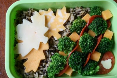 Bento Love: Change of Season