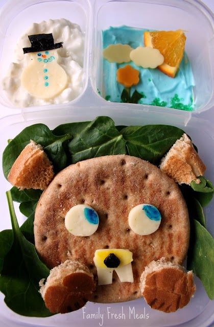 Top down picture of Groundhogs Day Lunchbox