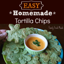 EASY Homemade Tortilla Chips