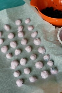 Frozen Yogurt Covered Blueberries lined up on parchment paper