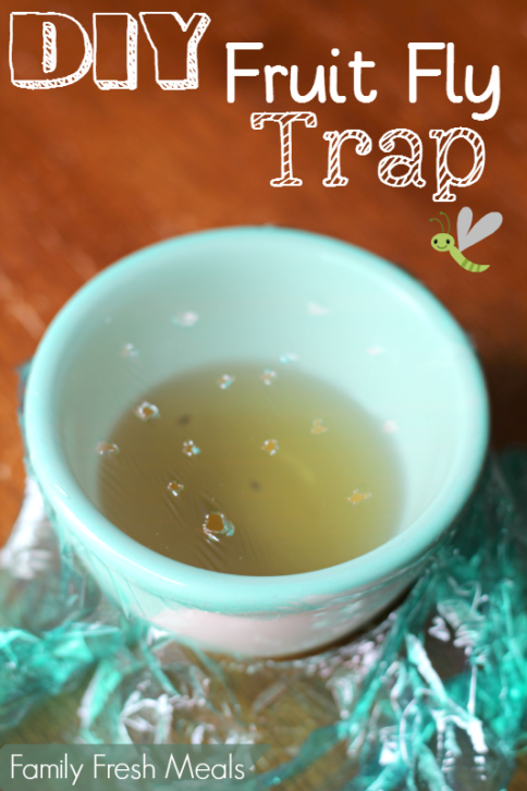 fruit fly trap made with small bowl and cellophane