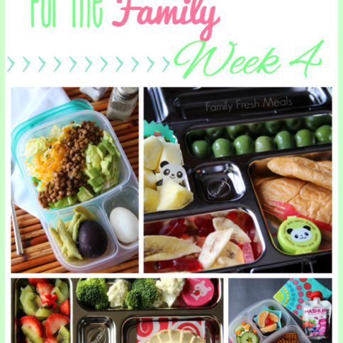 Collage image showing 4 different lunchbox ideas