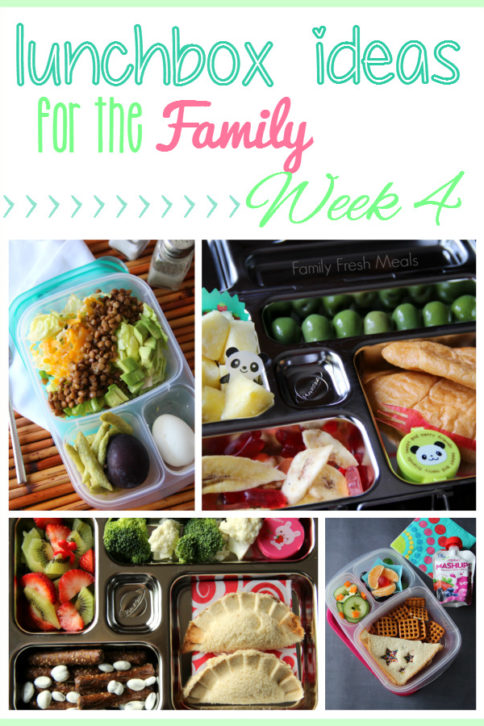 Collage image showing 4 different lunchbox ideas