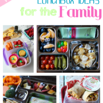 Easy Lunchbox Ideas for the Family: Week 3