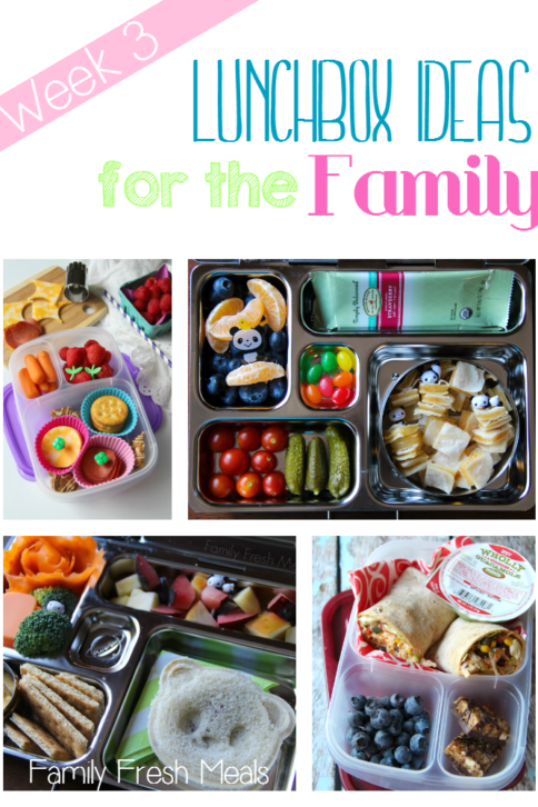 Family Lunch Box Ideas - Family Fresh Meals