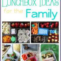 Easy Lunchbox Ideas for the Family: Week 2