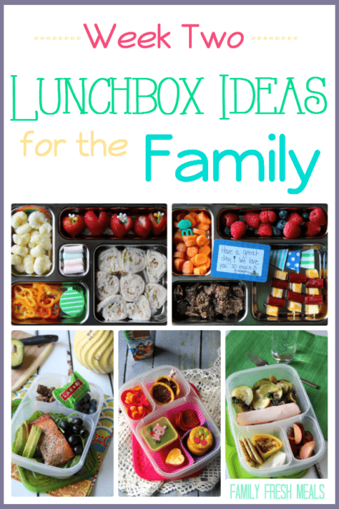 Easy Lunchbox Ideas for the Family- Round up Week 2 -- Family Fresh Meals