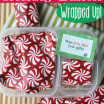 Fun and Easy Christmas Lunch Idea