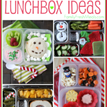 Holiday Lunchbox Ideas