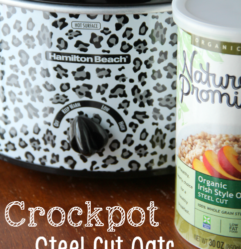 Crockpot Steel Cut Oats -- Family Fresh Meals