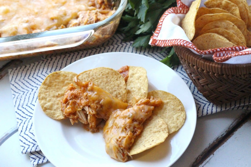 Cheesy Chicken Enchilada Dip on a white plate with chips