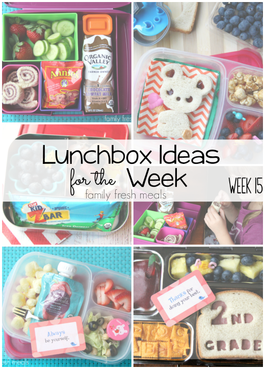 A Week of School Lunch Box Ideas - Carolina Charm