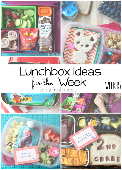 rock the lunchbox – school lunchbox ideas