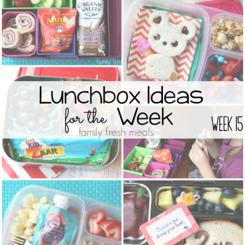 Rock The Lunchbox – School Lunchbox Ideas -- Week 15 - FamilyFreshMeals.com