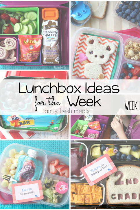 Rock The Lunchbox – School Lunchbox Ideas -- Week 15 - FamilyFreshMeals.com