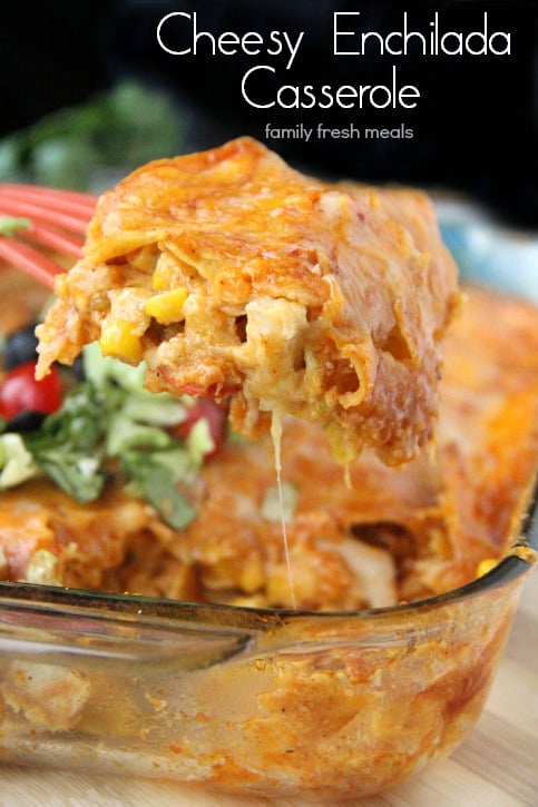 Easy Crock Pot Chicken Enchiladas Casserole - Recipes From A Pantry