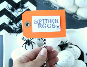 hand holding spider egg sign