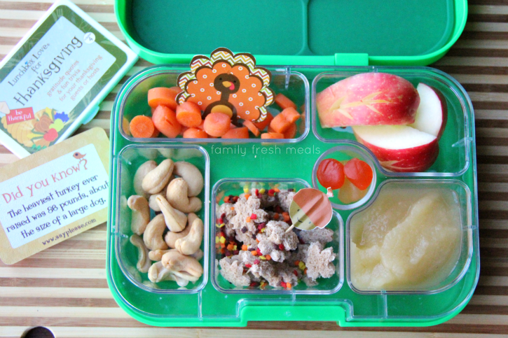 40+ Kids Lunch Box Ideas - FeelGoodFoodie