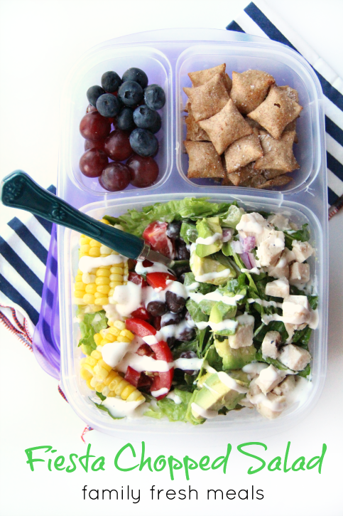 15 Easy Packed Lunch Ideas - Healthy Lunches for Packing