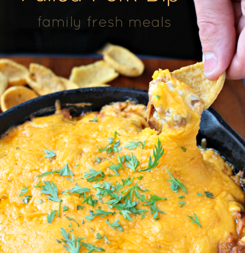 Cheesy BBQ Pulled Pork Dip - FamilyFreshMeals.com