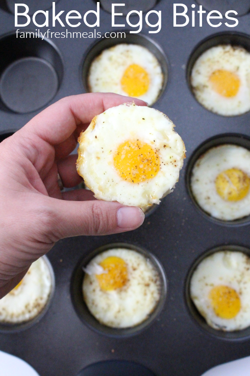 Hand holding an Oven Baked Egg Bite