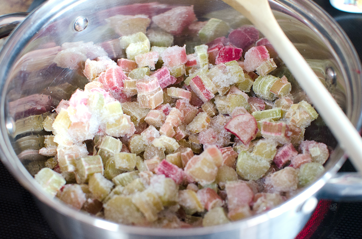 Easy Strawberry Rhubarb Jam - frozen rhubarb in a sauce pan