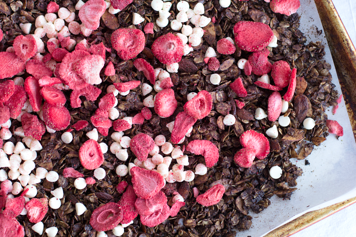 Chocolate Covered Strawberry Granola - Step 2 - FamilyFreshMeals.com