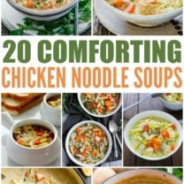 20 Homemade Chicken Noodle Soup Recipes