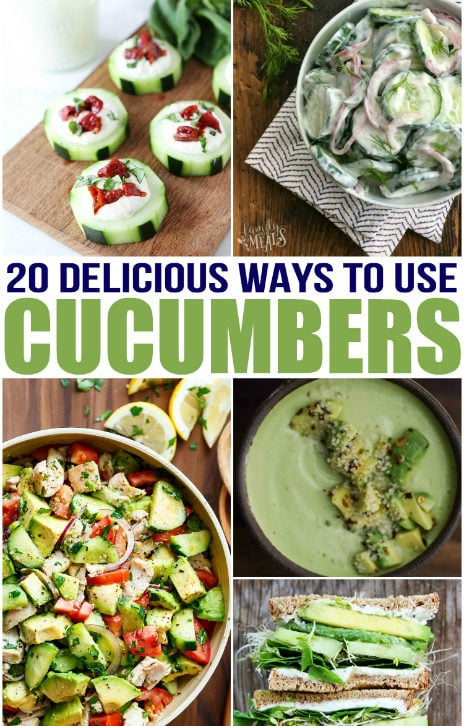 20 Delicious Cucumber Recipes - Family Fresh Meals