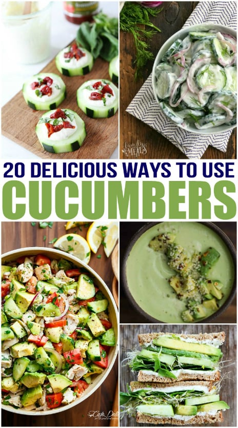 20 Delicious Cucumber Recipes - Family Fresh Meals
