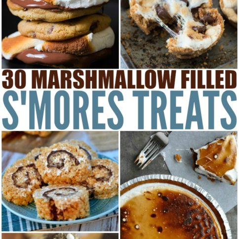 30 Different Smores Treats - Family Fresh Meals