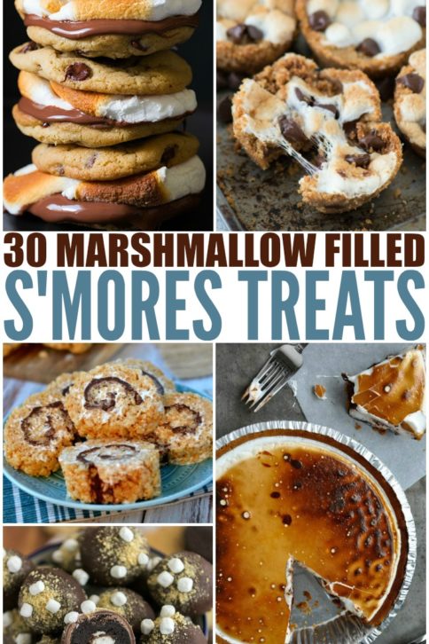 30 Different Smores Treats - Family Fresh Meals