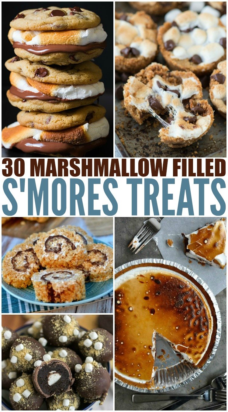 30 Different Smores Treats – Family Fresh Meals