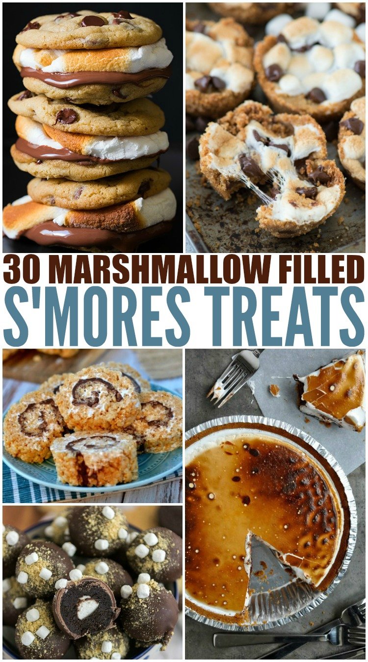 30 Different Smores Treats - Family Fresh Meals