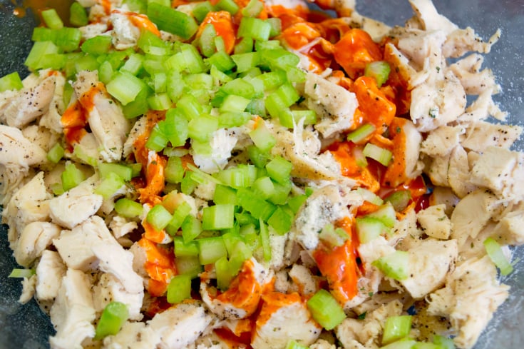 Buffalo Chicken Bites - Mix together chicken, celery and hot sauce