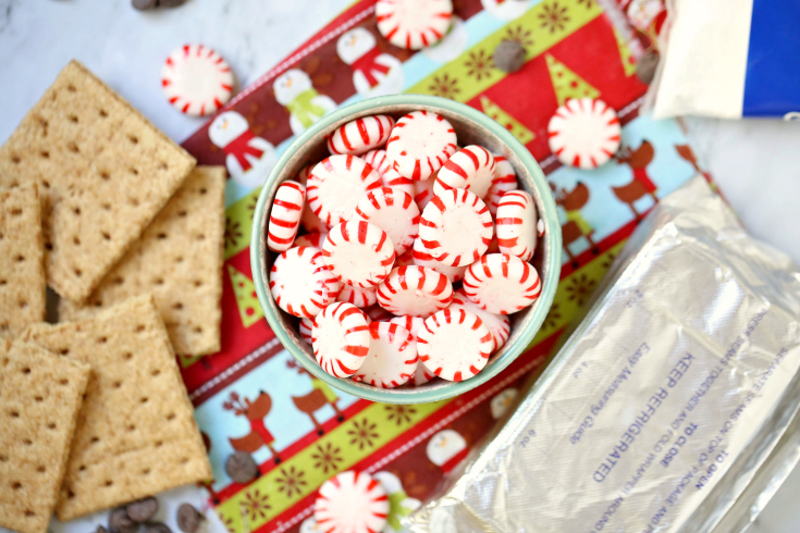 Creamy Peppermint Dip - Ingredients