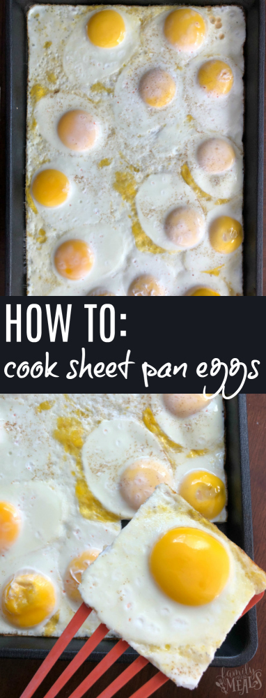 Sheet Pan Eggs - How to Cook 12 Eggs Quickly! - Shaken Together