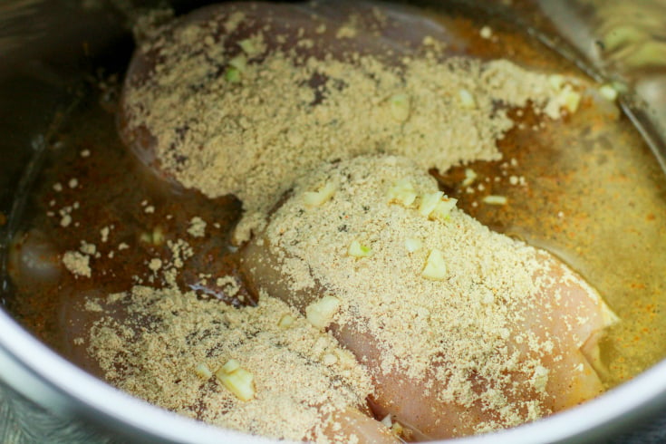 Instant Pot Chicken Fajitas - Chicken water and seasoning in instant pot