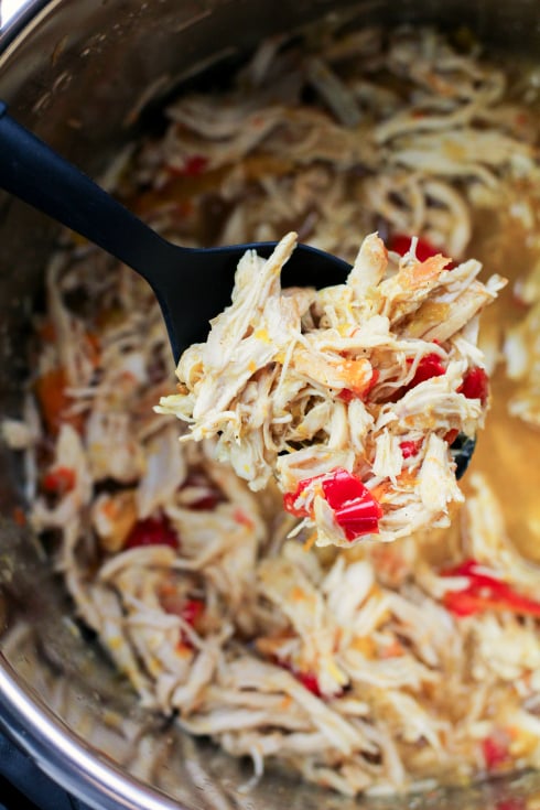 Instant Pot Chicken Fajitas - Family Fresh Meals Recipe