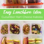 Cucumber Ham Cheese Kabob Lunchbox Idea -- Family Fresh Meals -