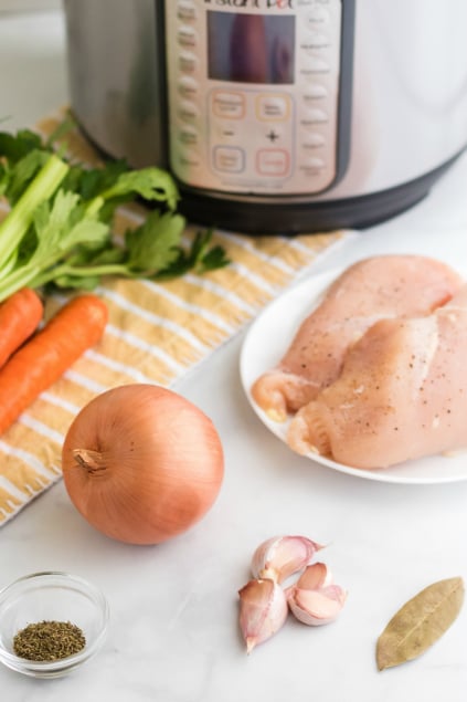 Instant Pot Chicken Noodle Soup - Ingredients and Instant Pot pressure cooker on a white counter