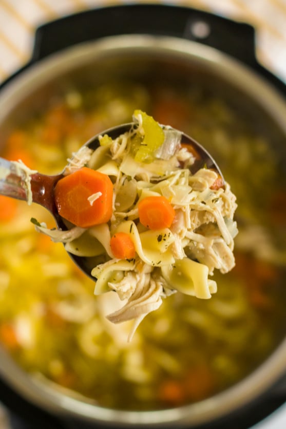 Instant Pot Chicken Noodle Soup - Ladel full of chicken noodle soup