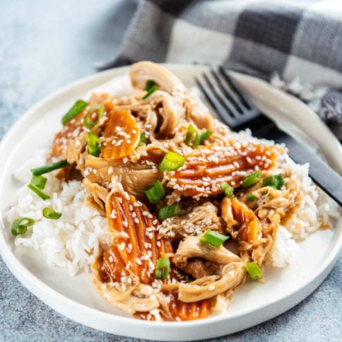 Instant Pot Teriyaki Chicken Recipe - Family Fresh Meals