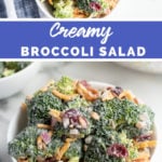 Creamy Broccoli Salad recipe from Family Fresh Meals