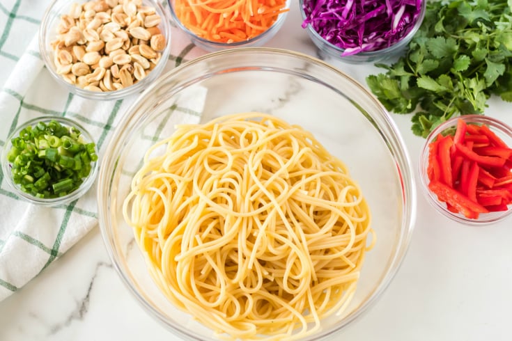 Thai Spaghetti Pasta Salad ingredients cooked spaghetti, green onions, peanuts, shredded carrots, shredded cabbage and bell peppers.